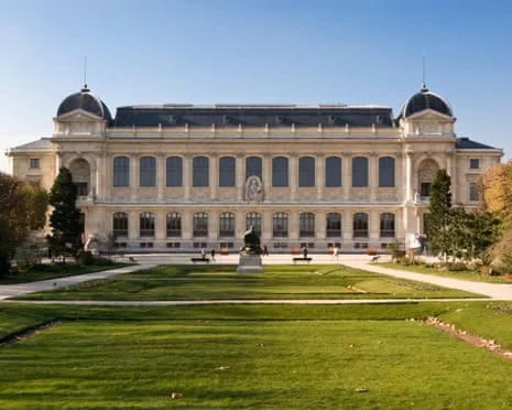 Priceless Gold Specimens Stolen in Daring Raid at France's Natural History Institution
