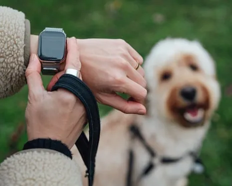 The Reality Regarding Smartwatches? Daily Existence Feels Fuller Without a Hectoring Zealot on Your Wristwear
